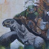 Street art