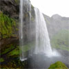 A waterfall.